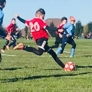 Meet your Posher, Carter